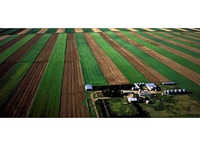 agricoltura agricoltura
